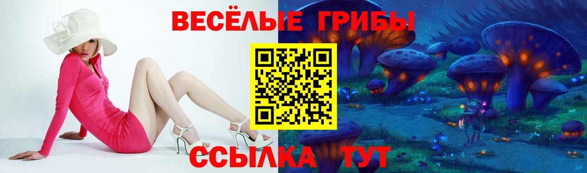 Галлюциногенные грибы мицелий  Вход с VPN  Михайловка  Псилоцибиновые грибы GOLDEN TEACHER 